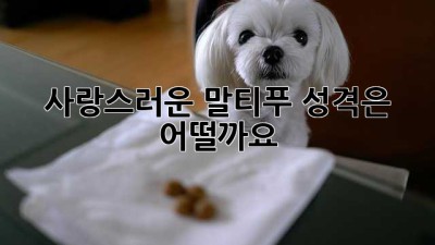 사랑스러운 말티푸, 성격은 어떨까요?
